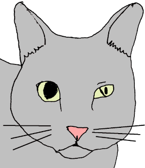 Illistration of a cat showing a normal eye and one eye with Horner's Syndrome