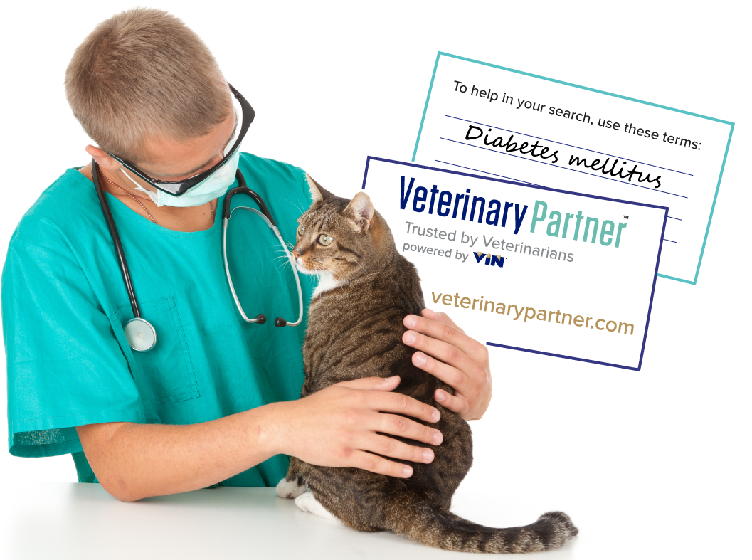 Vet with feline patient