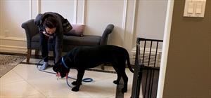 Woman putting treat on the floor in front of black dog