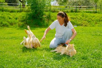 woman-outside-with-dog-cat