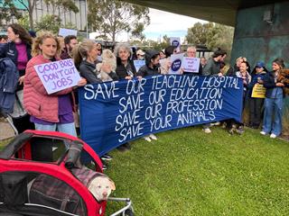 Sparks fly as Australian school moves to shut veterinary hospital - News -  VIN