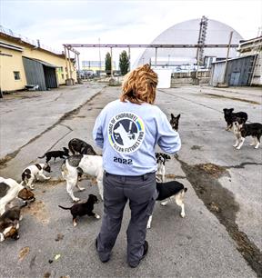 Caring for and learning from the dogs of Chornobyl