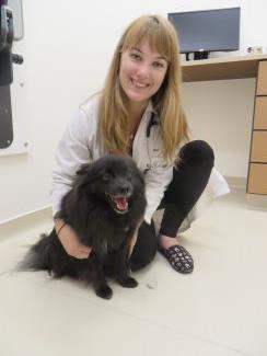 veterinarian-with-black-pomeranian-mix