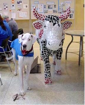 white-great-dane-next-to-large-ceramic-cow