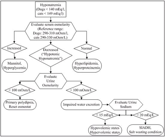 Figure 1. Approach to hyponatremia.