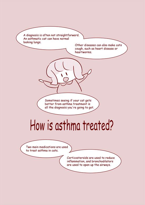 illustration-feline-asthma