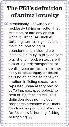 Recognizing sexual abuse in animals - VIN