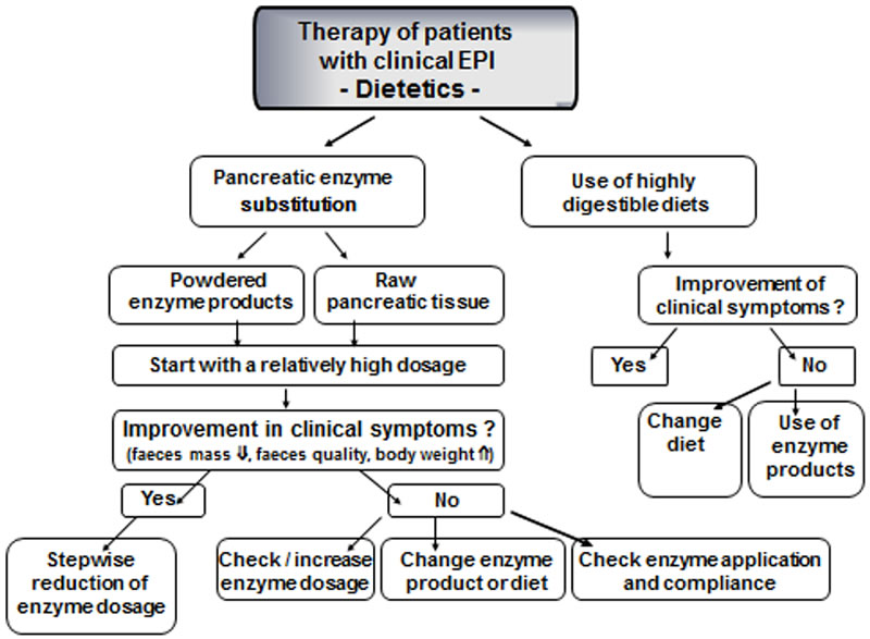 Exocrine Pancreatic Insufficiency (EPI) in Dogs More Than Just