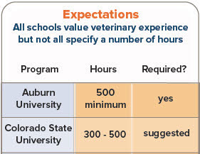 How much pre-veterinary experience is enough? - News - VIN