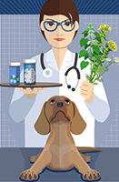 Herbal medicine illus