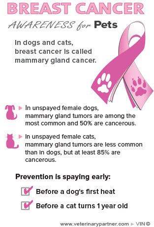 pet-breast-cancer-awareness
