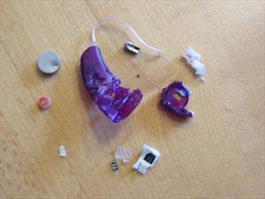 hearing-aid-chewed-by-dog