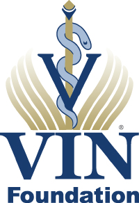 VIN Foundation Logo