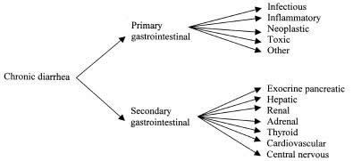 Chronic Diarrhea