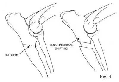 and kunst Pidgin Dynamic Ulna Osteotomies in Canine Elbow Displasia - WSAVA2002 - VIN