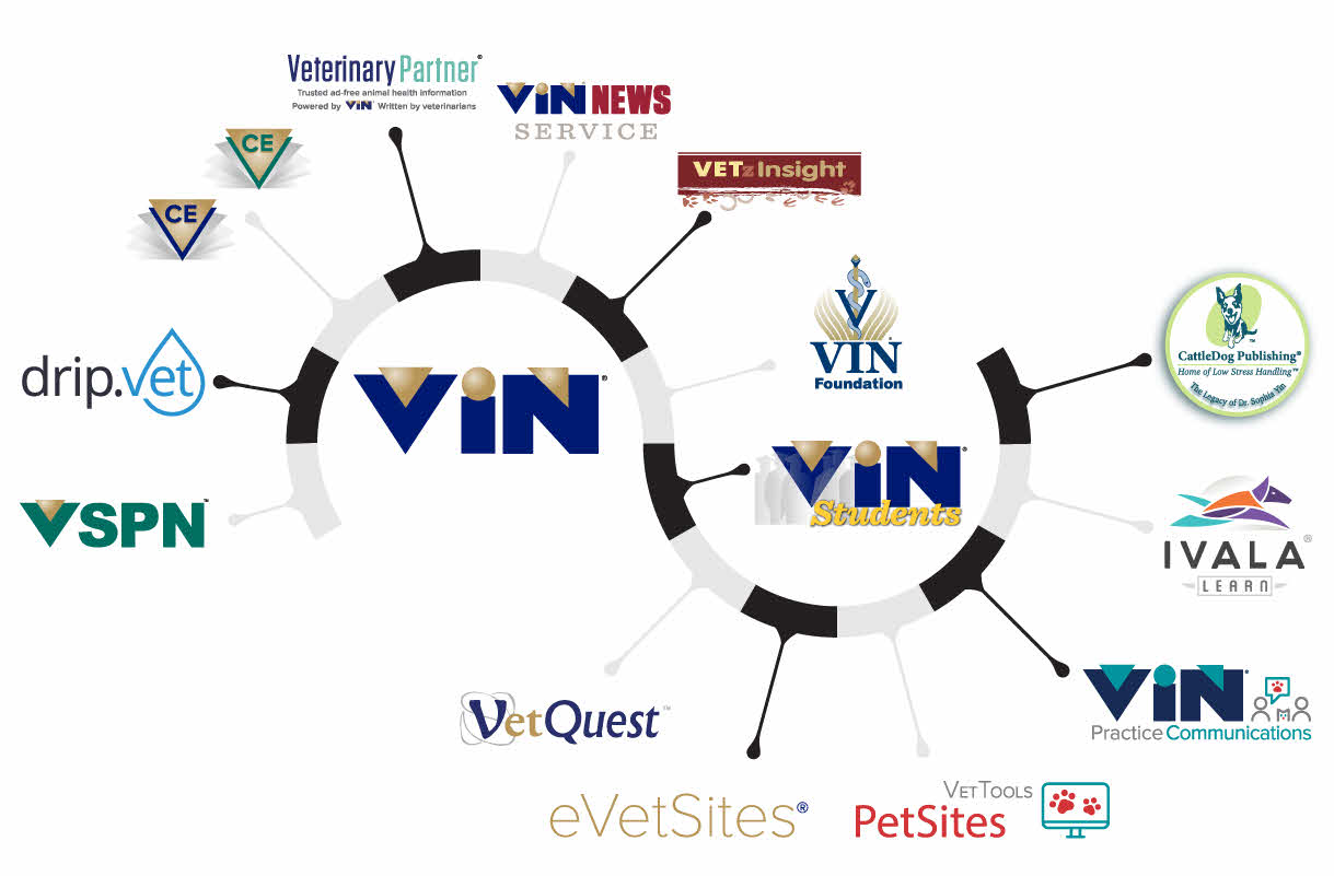 Husbandry and Medical Care of Hamsters - Veterinary Partner - VIN