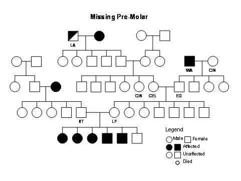 Figure 3. The Symbols Pedigree