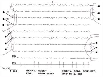 Figure 14.