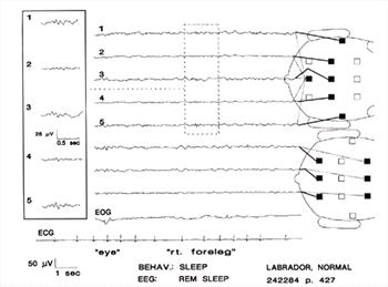 Figure 15.