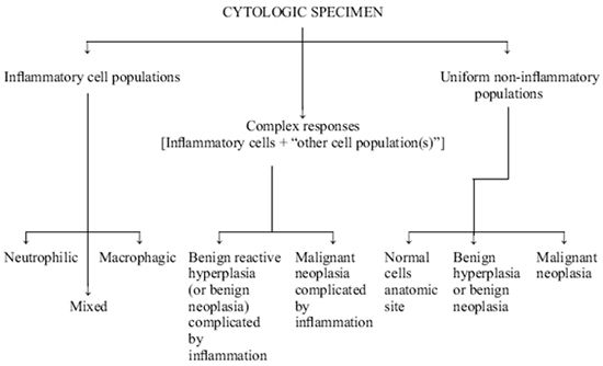 Figure 1. General approach to the interpretation of cytologic specimens.