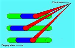 Figure 3xx.