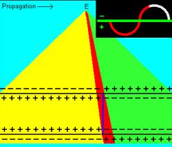 Figure 3D.