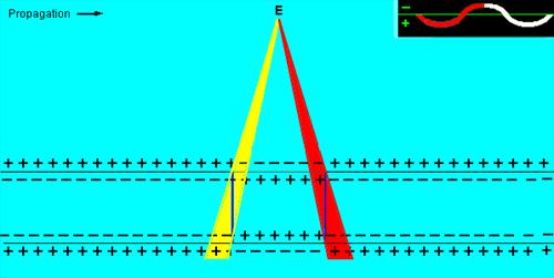 Figure 4D.