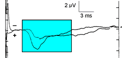 Figure 7B.