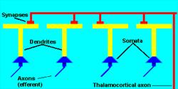 Figure 10.