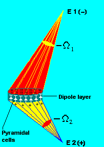 Figure 12.