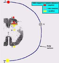 Figure 18.