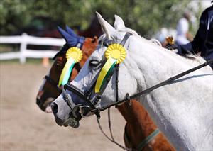 horse-show-winners-with-ribbons