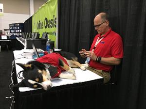 man-at-conference-booth-with-dog-laying-on-table
