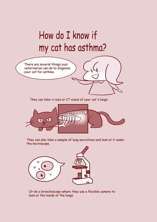 illustration-feline-asthma
