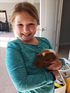 little-girl-with-guinea-pig
