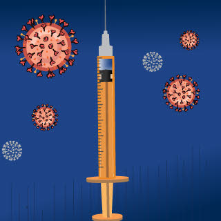 The place veterinarians stand within the line for COVID vaccine – Information