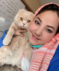 Female veterinarians in Afghanistan tell their stories - News - VIN