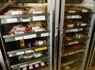 California blood bank shake-up opens market to veterinarians – News