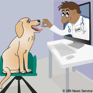 In watershed decision, UK relaxes telemedicine rules – News