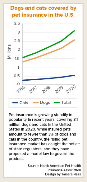 Design legislation for pet insurance plan nears finish – Information