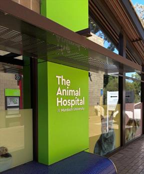 Safety claims spur probe of Australian veterinary school - News - VIN