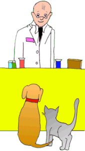 pharmacist-dog-cat