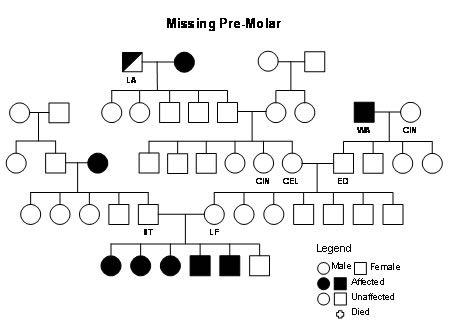 Pedigree Analysis Tuftsbg07 Vin