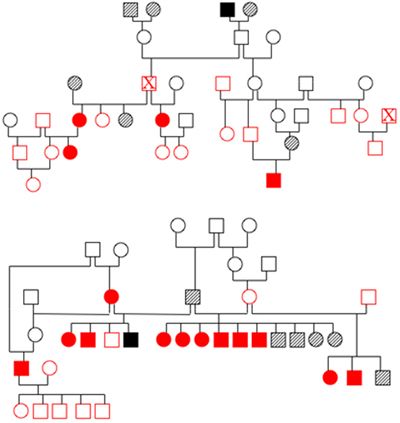 Figure 2. Pedigrees from two families of affected dogs.