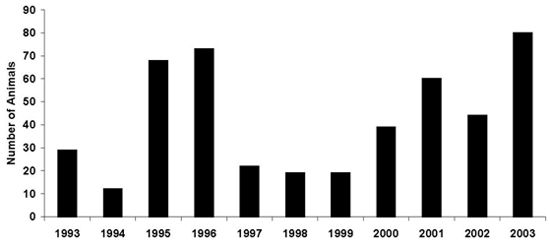 Figure 1. Yearly sea turtle strandings.