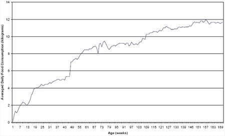 Figure 2. Averaged daily food consumption vs. age in Pacific white-sided dolphins.