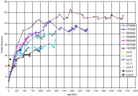 Figure 3. Weight vs. age in Pacific white-sided calves.