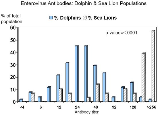 Graph 1.