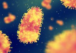 Image of rabies virus