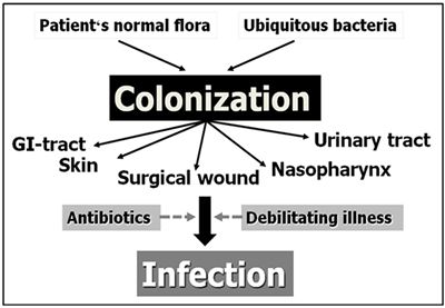 Figure 1. Development of nosocomial infection.